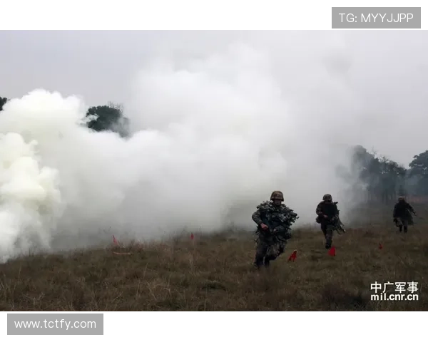 高原复杂环境下登山作战行动战术运用与协同要点分析
