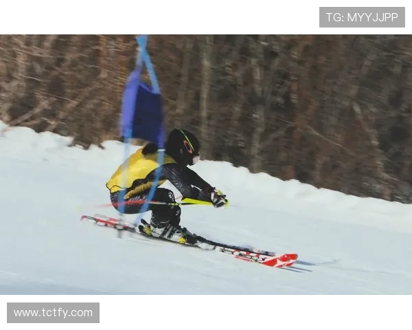 基于滑雪战术分析的高水平竞技滑雪比赛策略优化与实战应用研究 基于滑雪战术分析的高水平竞技滑雪比赛策略优化与实战应用研究
